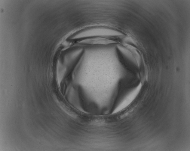 X0000081350252200702020122