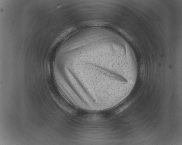 X0000081350254200702020122