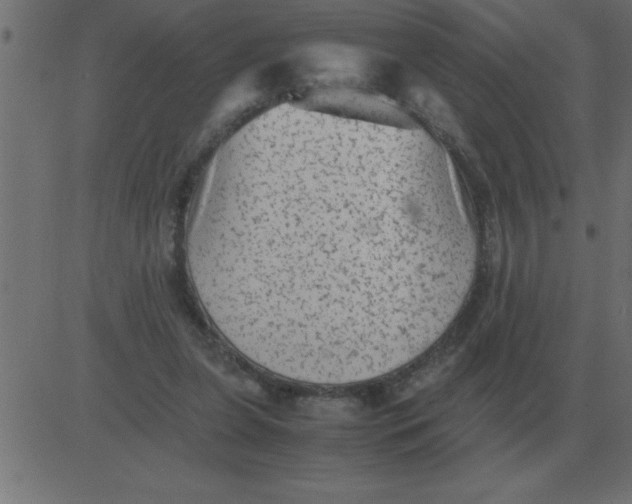 X0000081350255200702020122