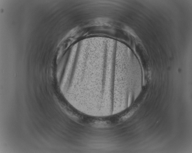 X0000081350256200702020122