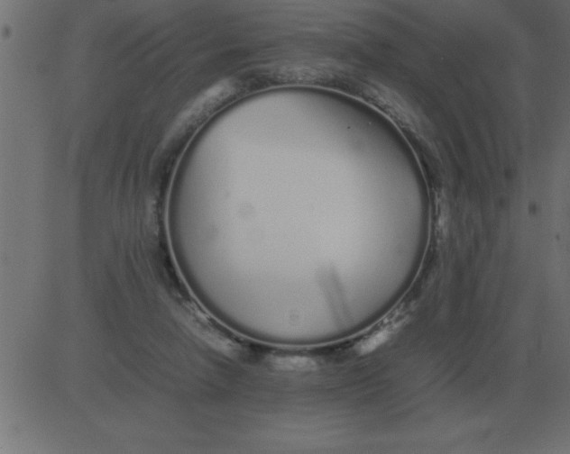 X0000081350258200702020122