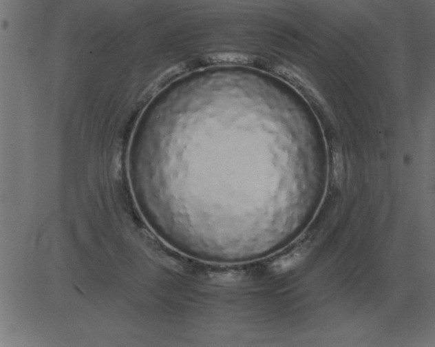 X0000081350259200702020122