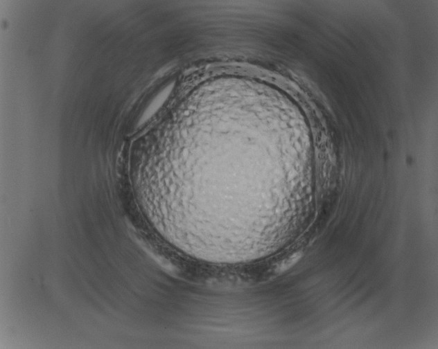 X0000081350260200702020122