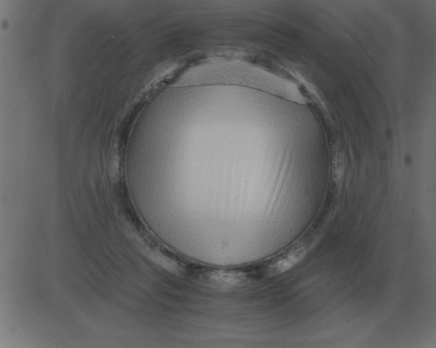 X0000081350261200702020122