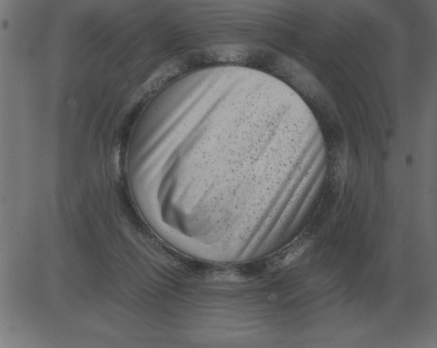 X0000081350262200702020122