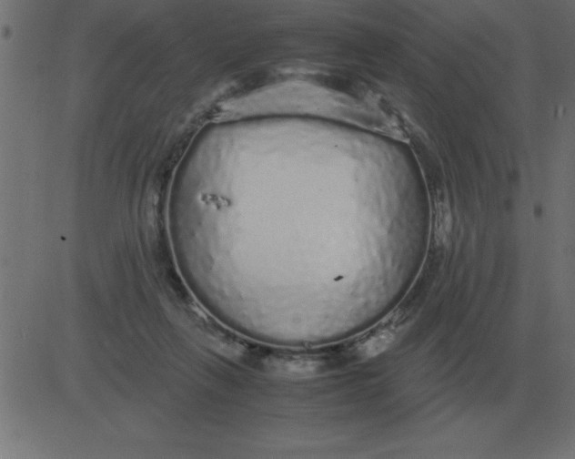 X0000081350263200702020122