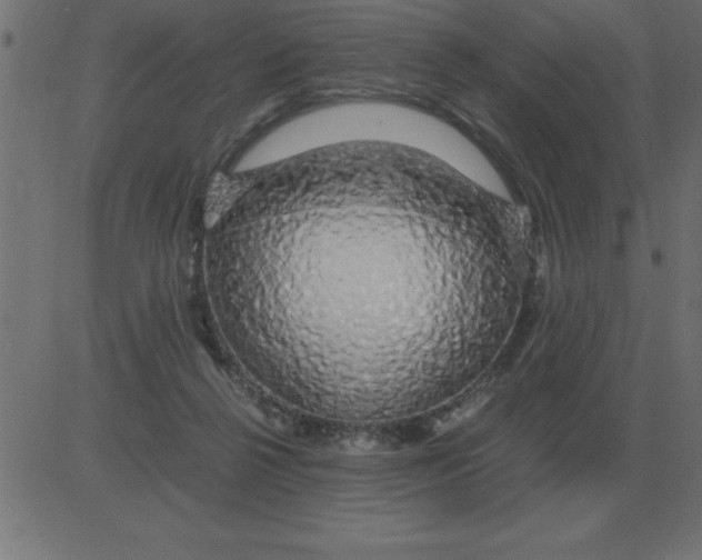 X0000081350264200702020122