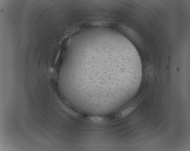 X0000081350265200702020122