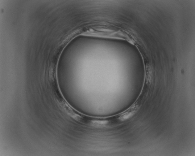 X0000081350266200702020122