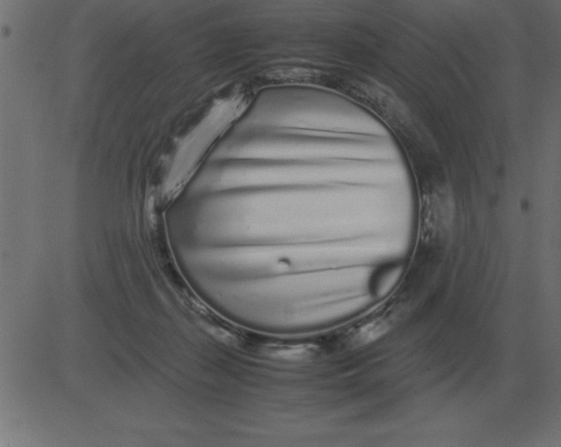 X0000081350267200702020122