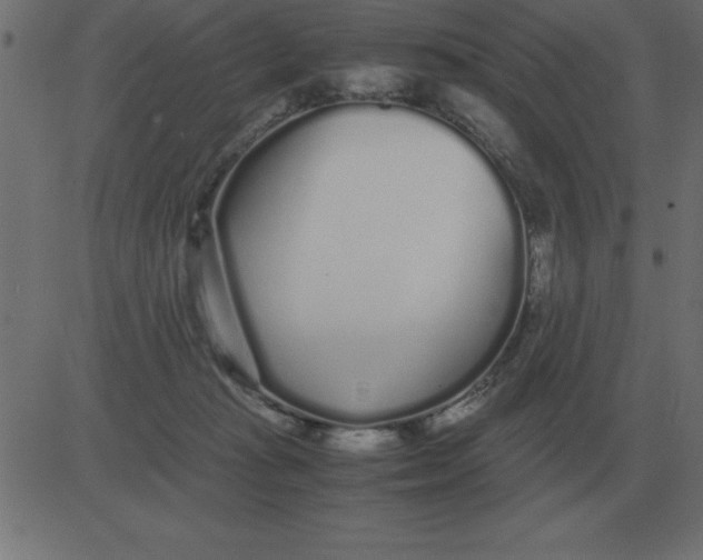 X0000081350269200702020122