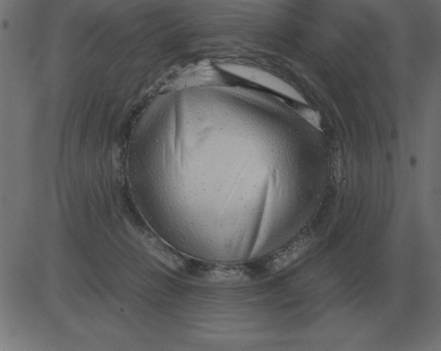 X0000081350270200702020122