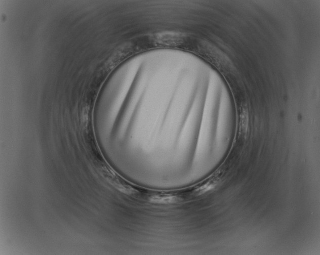 X0000081350271200702020122