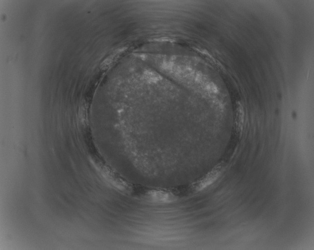 X0000081350272200702020122