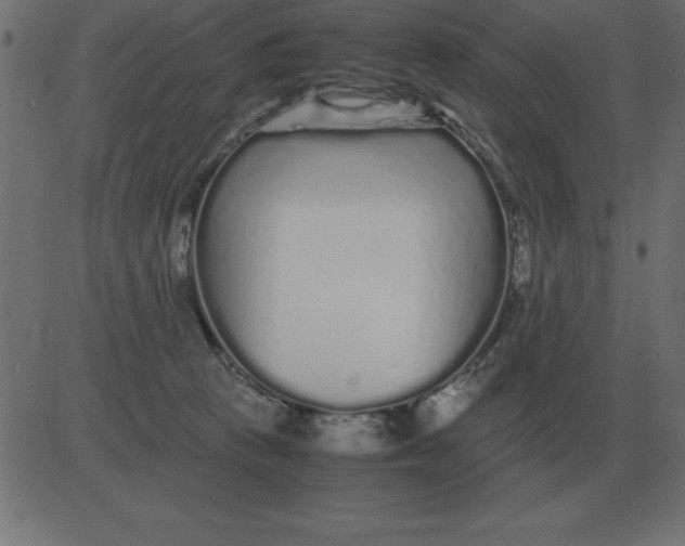 X0000081350273200702020122