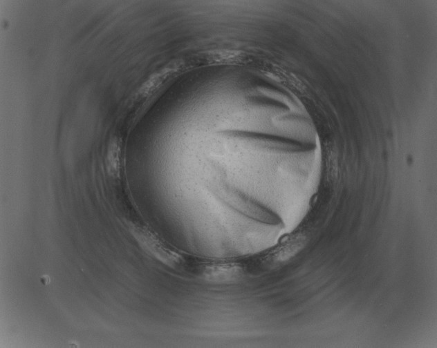 X0000081350274200702020122