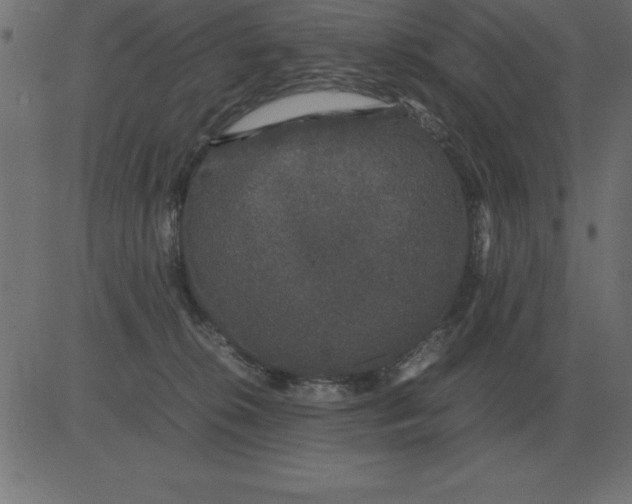 X0000081350276200702020122