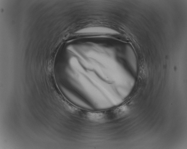 X0000081350277200702020122