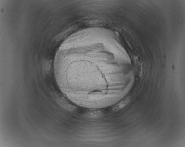 X0000081350278200702020122