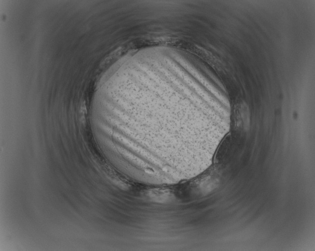 X0000081350279200702020122