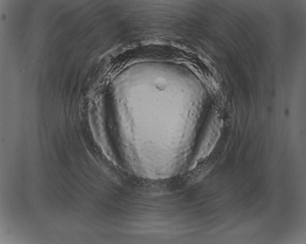 X0000081350280200702020122