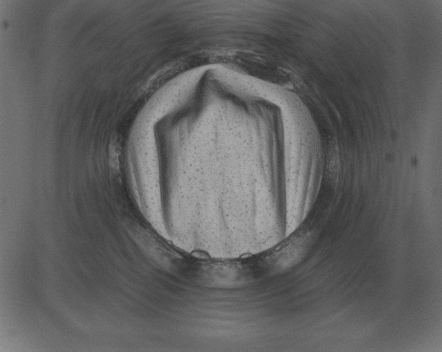 X0000081350282200702020122