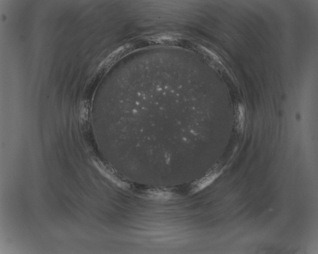 X0000081350284200702020122