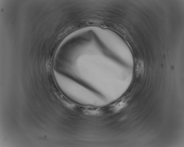 X0000081350285200702020122