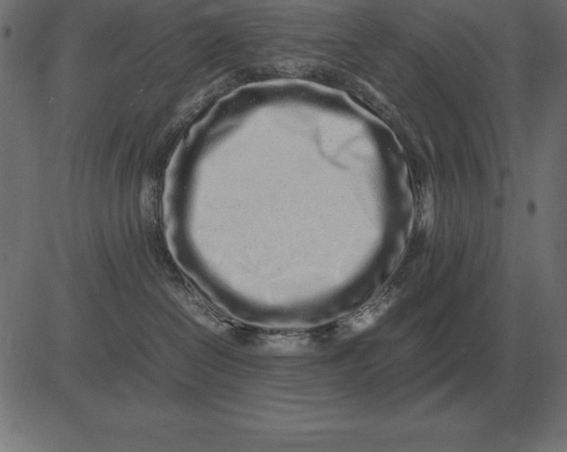 X0000081350286200702020122