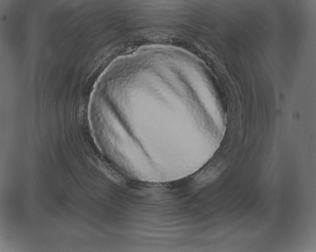 X0000081350288200702020122