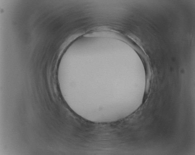 X0000081350289200702020121