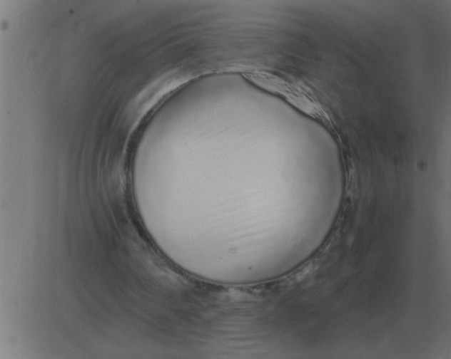 X0000081350290200702020121