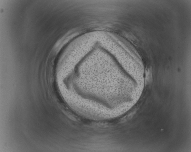 X0000081350291200702020121