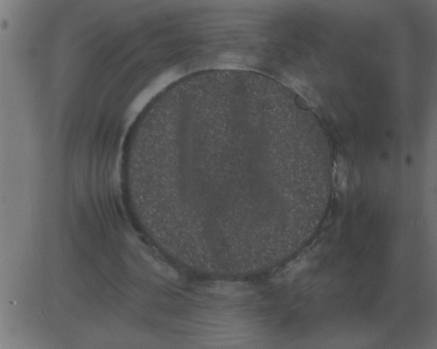 X0000081350292200702020121