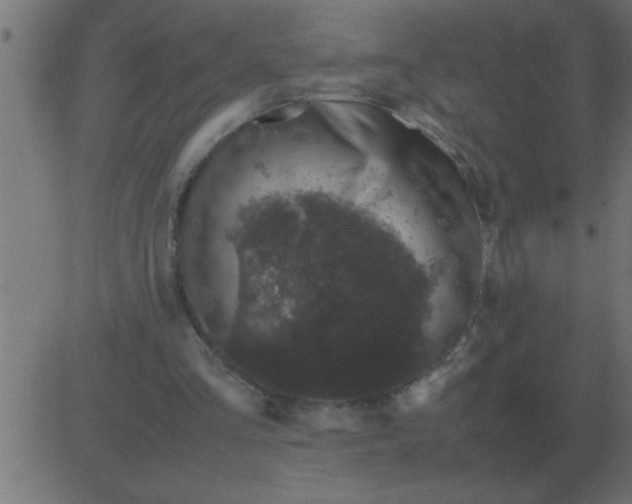 X0000081350293200702020121