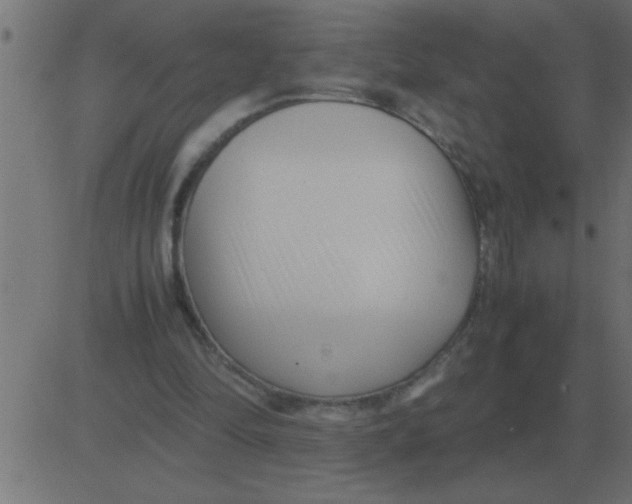 X0000081350294200702020121