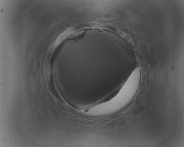 X0000081350295200702020121