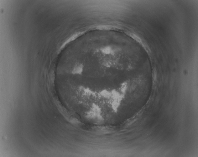 X0000081350297200702020121