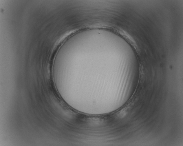 X0000081350298200702020121