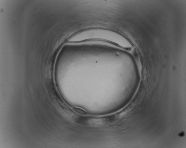 X0000081350299200702020121