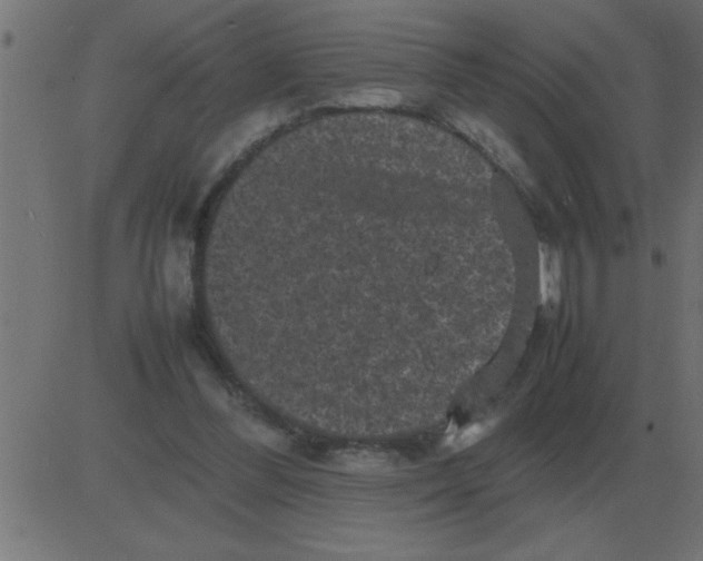 X0000081350300200702020121