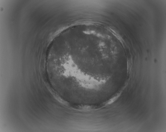 X0000081350301200702020121