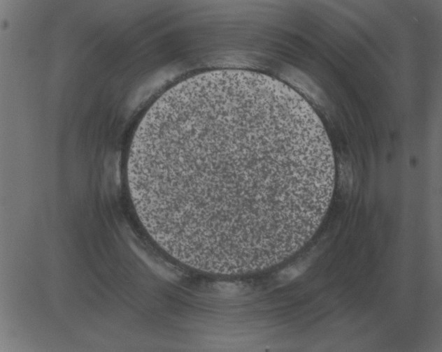 X0000081350302200702020121