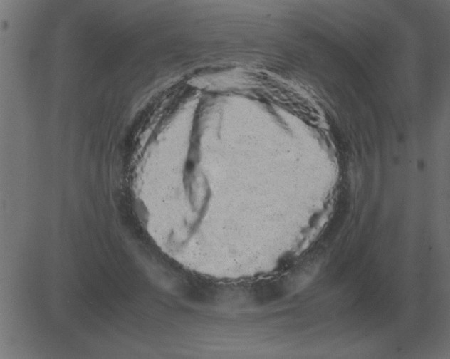 X0000081350303200702020121