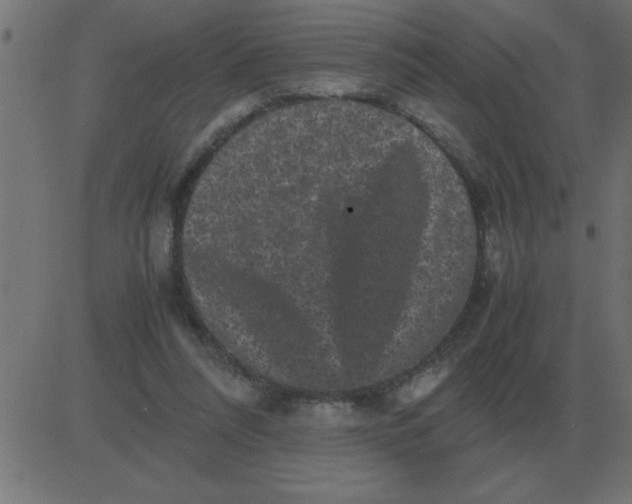 X0000081350304200702020121