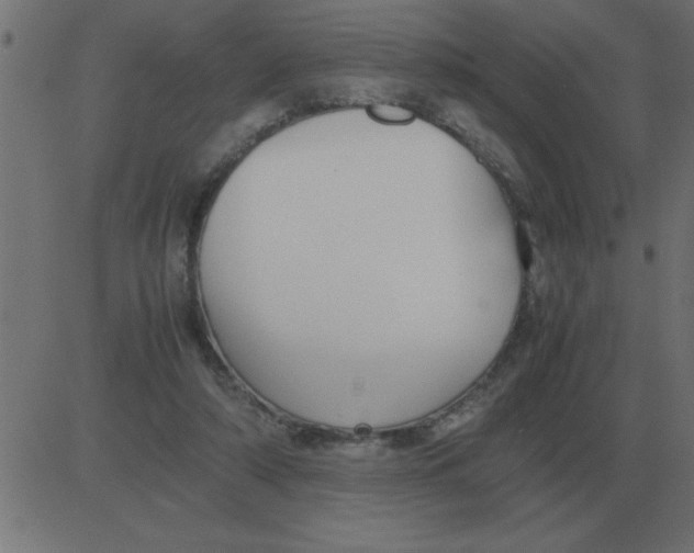 X0000081350306200702020121