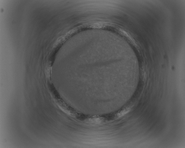 X0000081350307200702020121