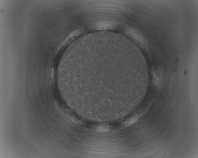 X0000081350308200702020121