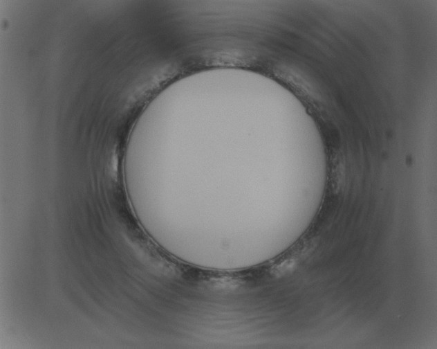 X0000081350310200702020121