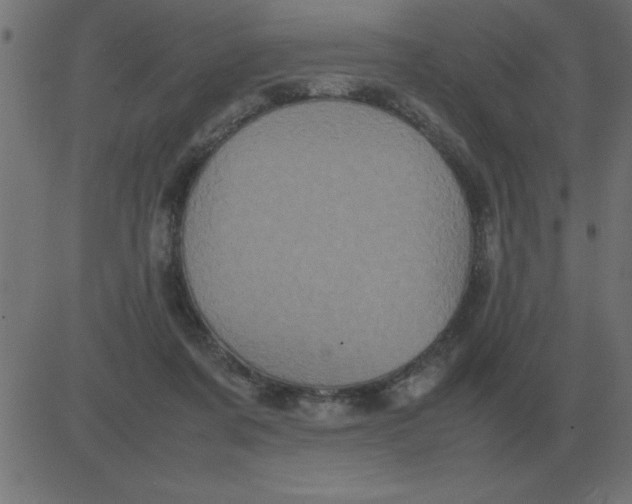 X0000081350311200702020121